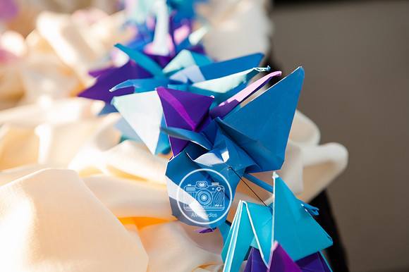 Wedding Photography - Moshulu and Sheraton Philadelphia Society Hill Hotel