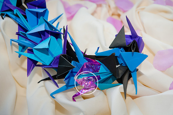 Wedding Photography - Moshulu and Sheraton Philadelphia Society Hill Hotel