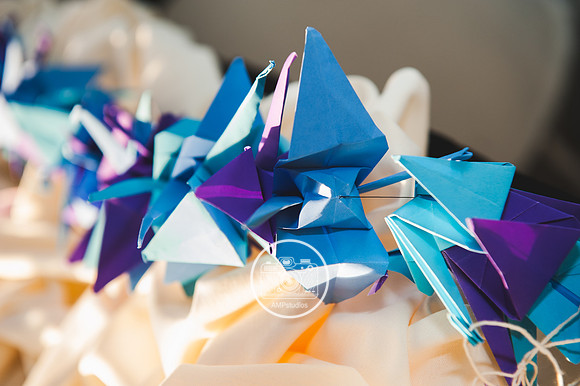 Wedding Photography - Moshulu and Sheraton Philadelphia Society Hill Hotel